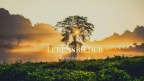 Lebensbilder-Titel