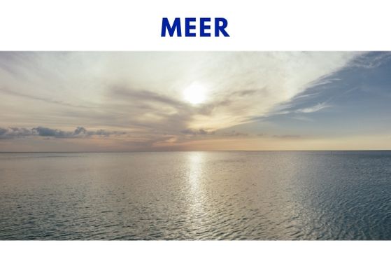 Meer